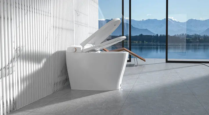 Ecoway Taheo Integrated Smart Toilet With Built-in Bidet - Plumbing Market
