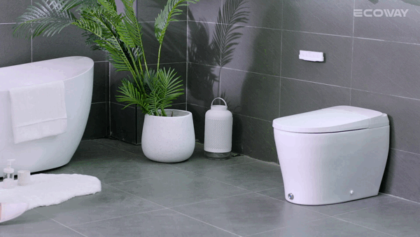 Ecoway Taheo Integrated Smart Toilet With Built-in Bidet - Plumbing Market