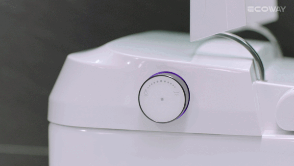 Ecoway Taheo Integrated Smart Toilet With Built-in Bidet - Plumbing Market