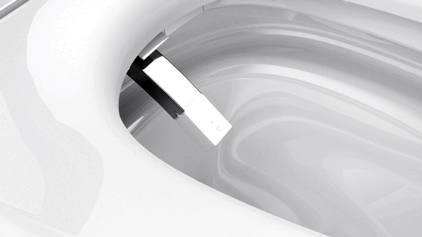 Ecoway Taheo Integrated Smart Toilet With Built-in Bidet - Plumbing Market