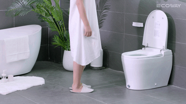 Ecoway Taheo Integrated Smart Toilet With Built-in Bidet - Plumbing Market