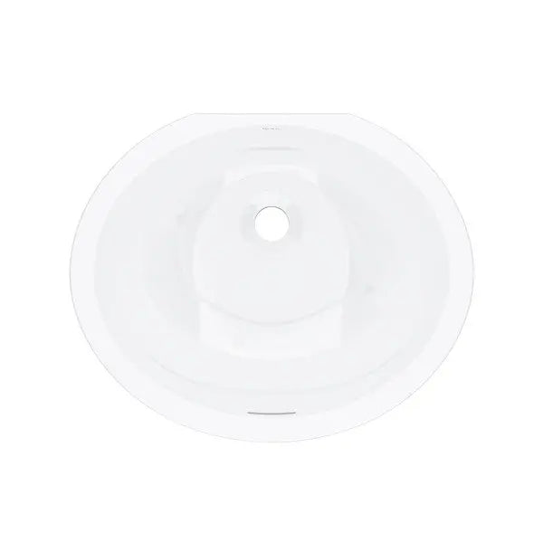 Eirene™ 19" x 16" Undermount Oval Lavatory Sink - Plumbing Market