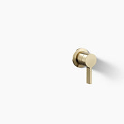 Kohler Components Wall-mount bathroom sink faucet handle K-77980-4-AF - Plumbing Market