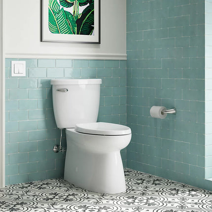 Kohler Alteo Pivoting toilet paper holder K-37054-BN - Plumbing Market