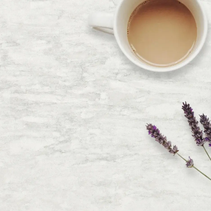 Hanstone Eden Quartz Polished White & Grey Jumbo Slab - Plumbing Market