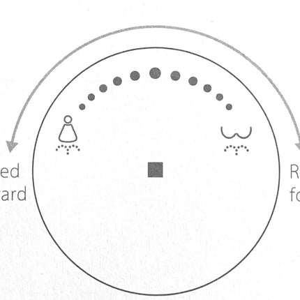 Kodaen Canary Integrated Smart Toilet With Built In Bidet Kodaen