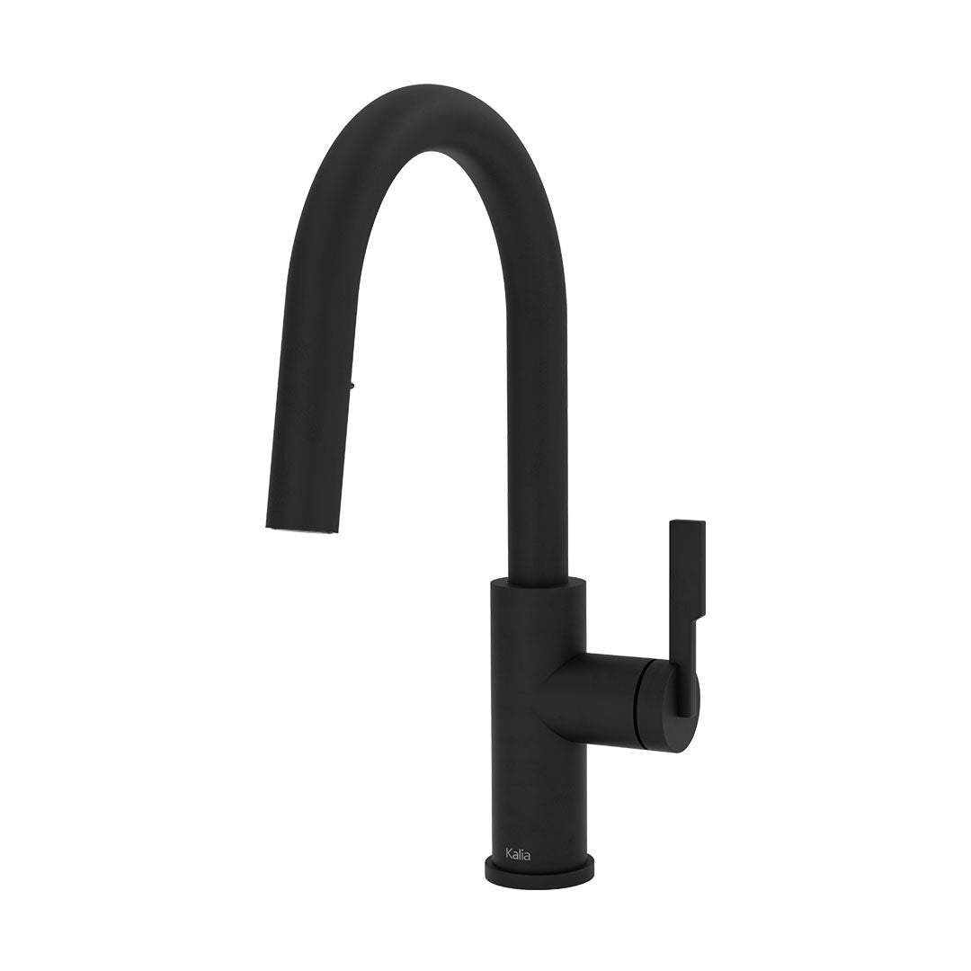 Kalia FORGE Type-R BAR Single Handle Kitchen Faucet Pull-Down Dual Spray KF2273 Matte Black