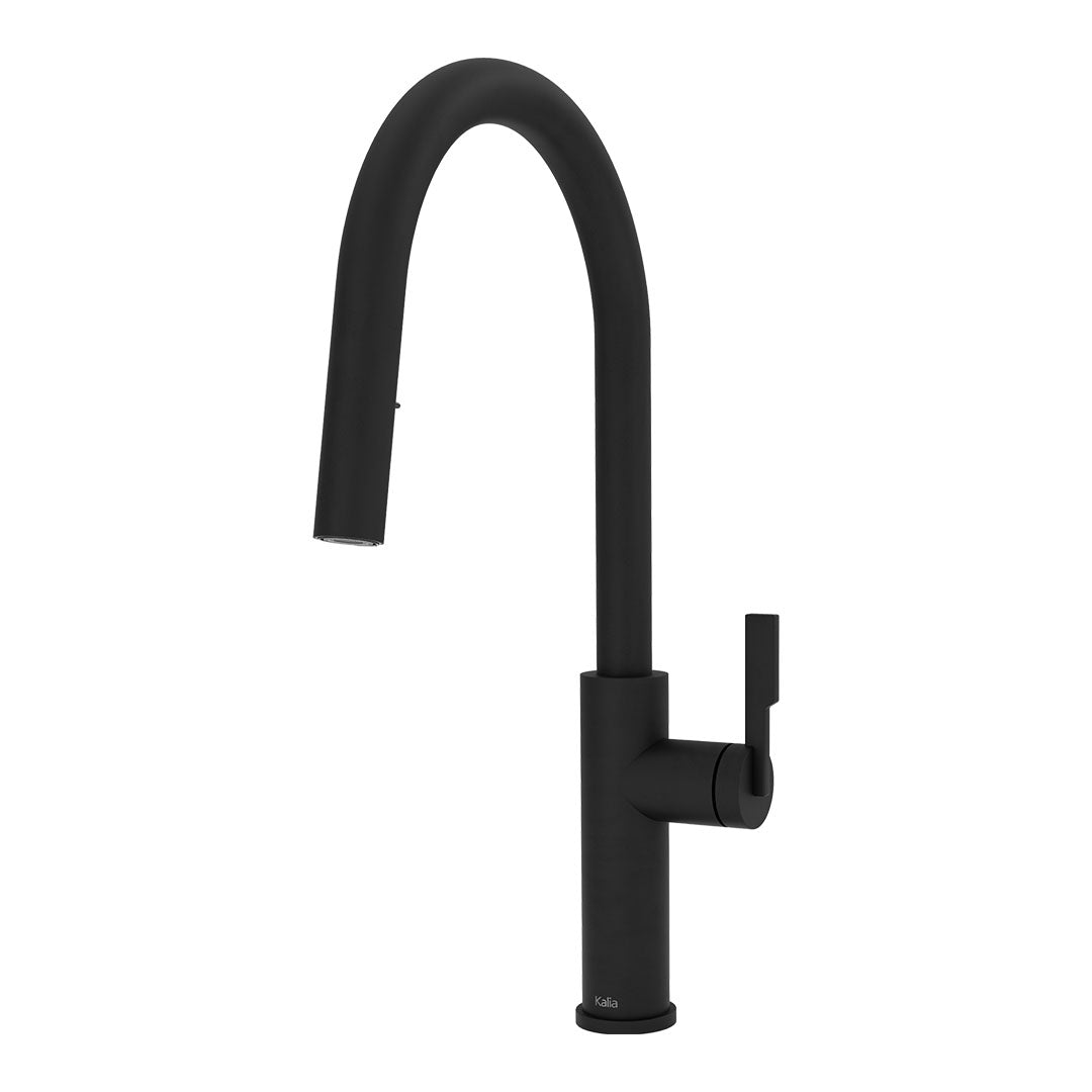 Kalia FORGE Type-R Single Handle Kitchen Faucet Pull-Down Dual Spray KF2274 Matte Black