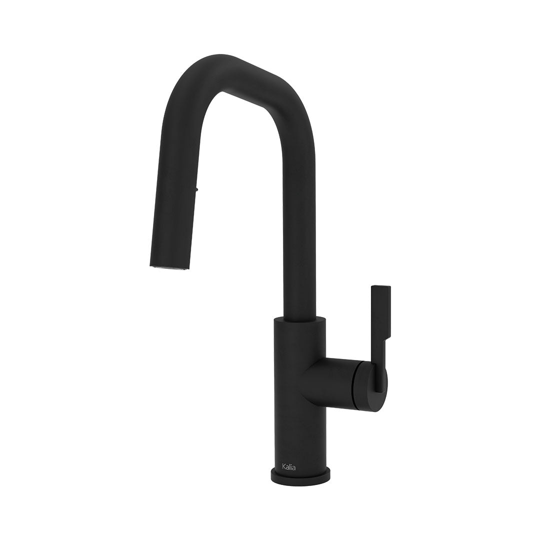 Kalia FORGE Type-S BAR Single Handle Kitchen Faucet Pull-Down Dual Spray KF2275 Matte Black