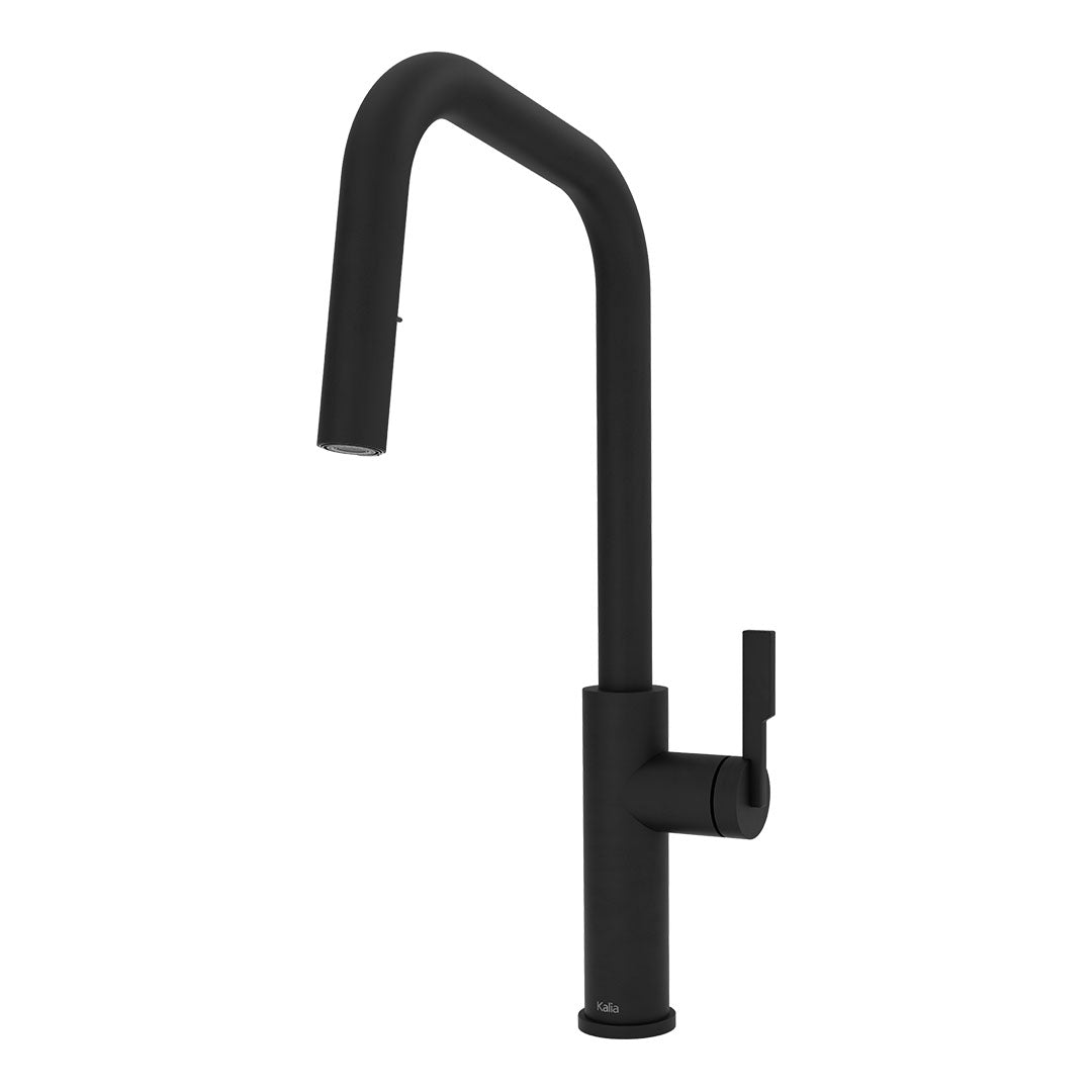Kalia FORGE Type-S Single Handle Kitchen Faucet Pull-Down Dual Spray KF2276 Matte Black