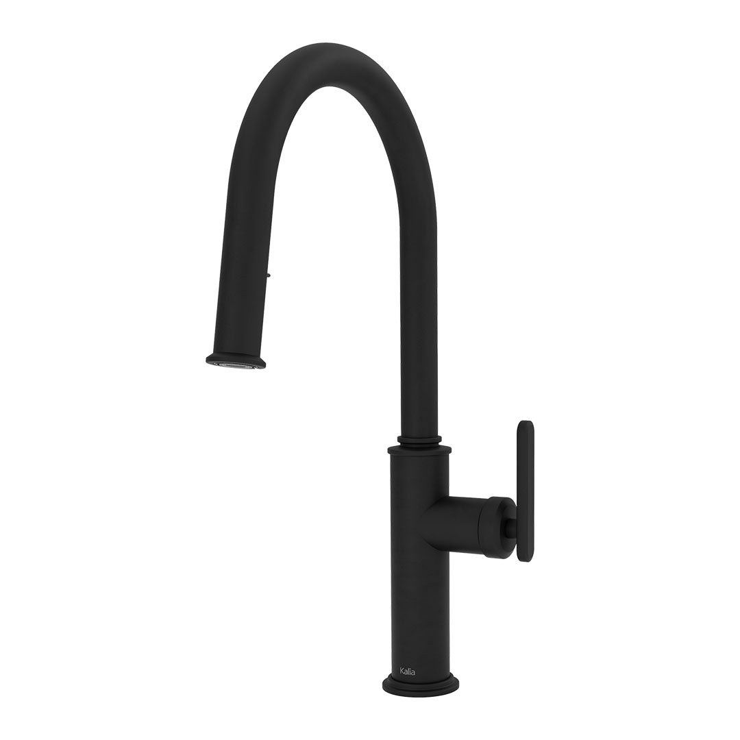 Kalia FORGE Type-T Single Handle Kitchen Faucet Pull-Down Dual Spray KF2277 Matte Black