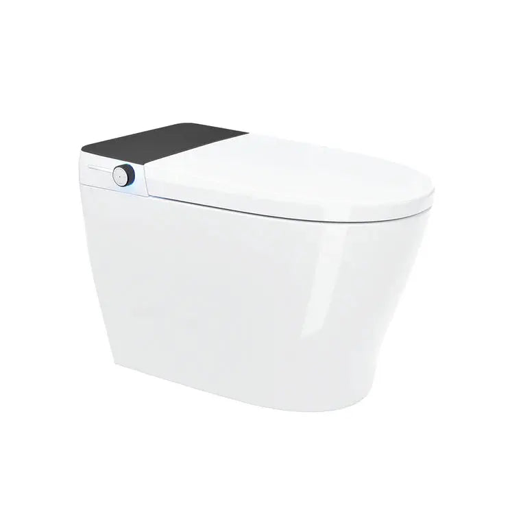 Kodaen Canary Integrated Smart Toilet With Built In Bidet SMT-DQ100 - Plumbing Market