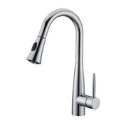 Kodaen DAVISON Pull-down Dual Spray Kitchen Faucet Chrome