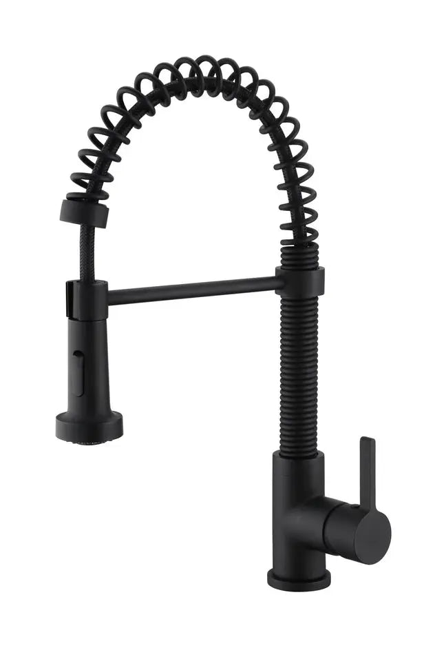 Kodaen EDISON  Pull-out Dual Spray Kitchen Faucet  Matte Black