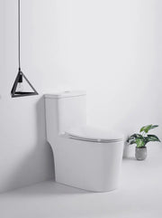 Kodaen Florence One piece skirted toilet top with flush buttons