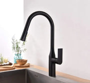 Kodaen TIMELYSS Pull-down Dual Spray Kitchen Faucet Matte Black