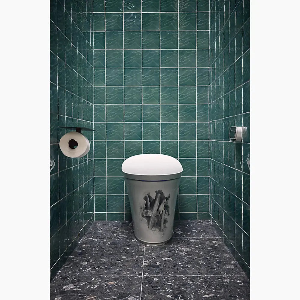 Kohler Landshapes by Daniel Arsham One-piece elongated smart toilet, dual-flush - Plumbing Market