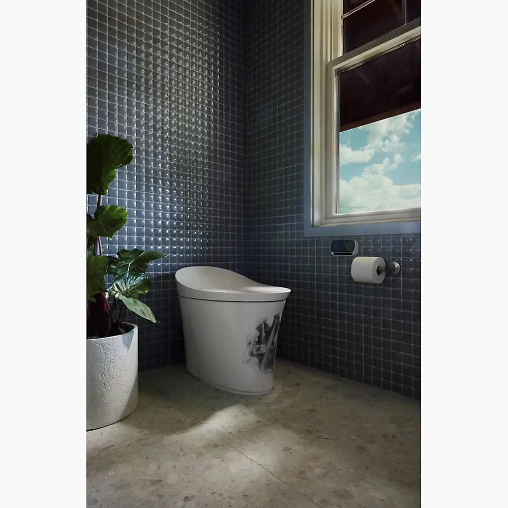 Kohler Landshapes by Daniel Arsham One-piece elongated smart toilet, dual-flush - Plumbing Market