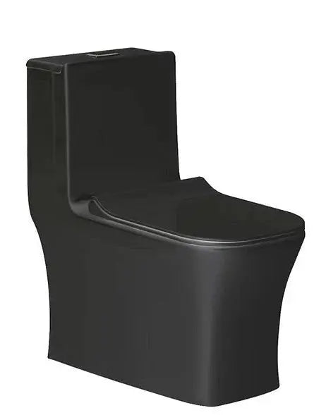 Liro Alta Dual Flush toilet with 12" Rough in Black Finish