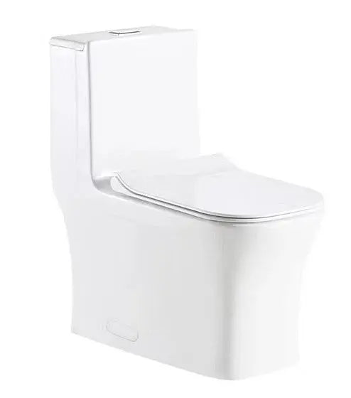 Liro Alta Dual Flush toilet with 12" Rough in White Finish