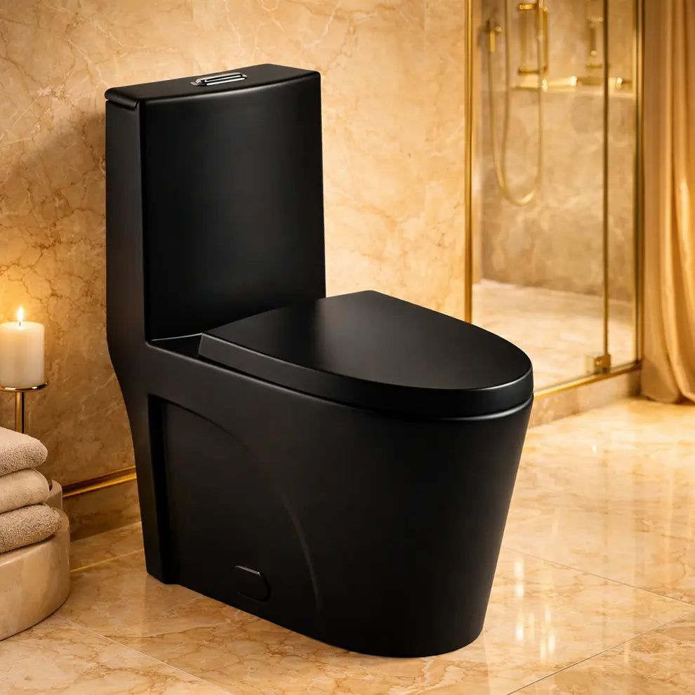 Liro Luna Dual Flush Toilet with 10" Rough in Black Finish