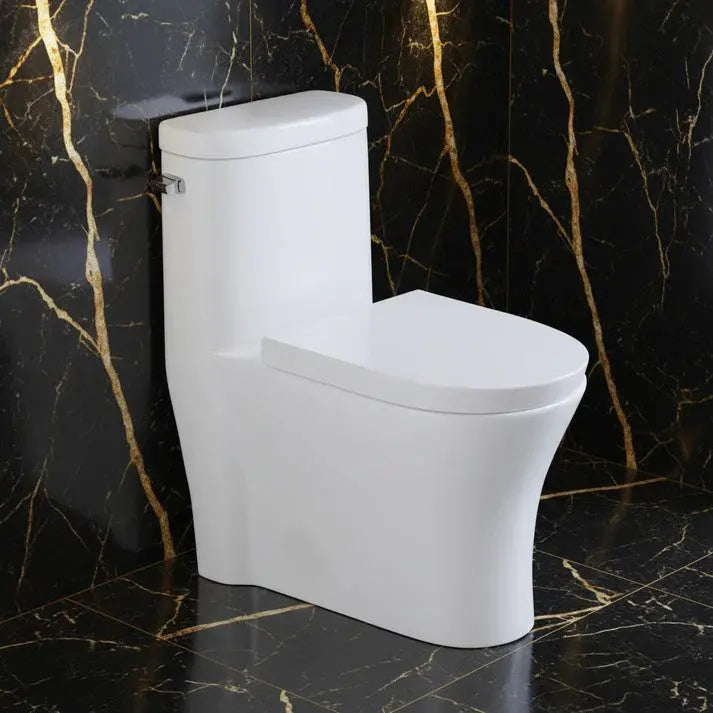 Liro Mia Side Flush Toilet with 12" Rough in White Finish