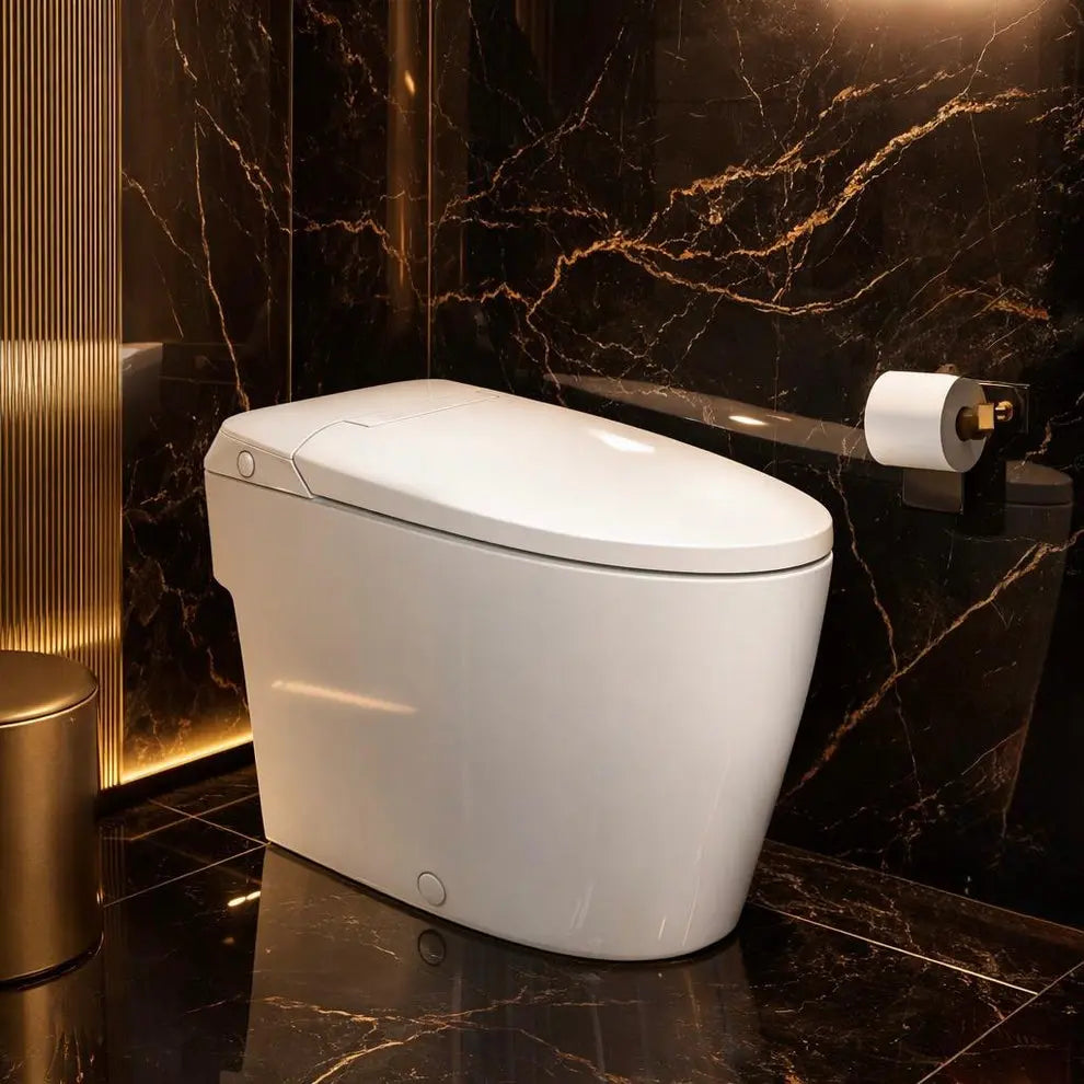 Liro Pure One Tankless Toilet Side button Flush Non Electric