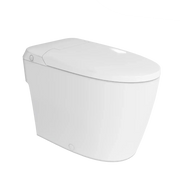 Liro Pure One Tankless Toilet Side button Flush Non Electric