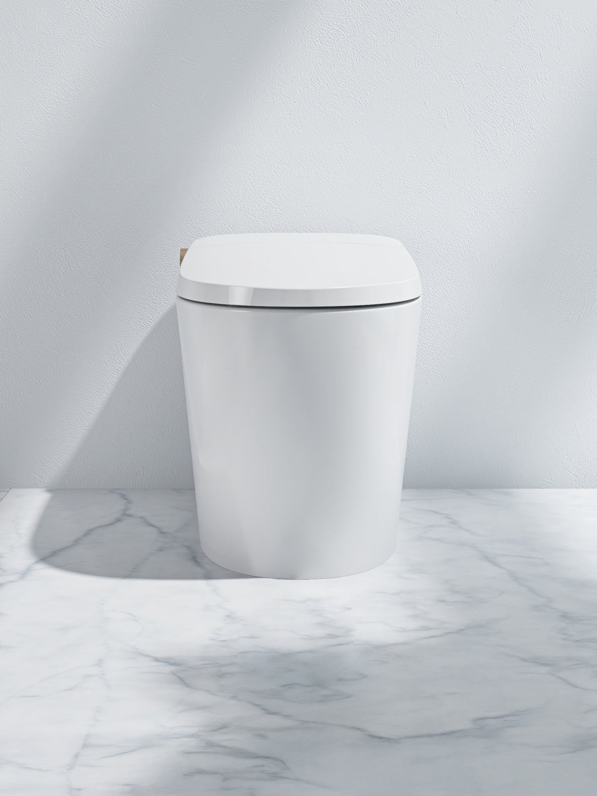 Ecoway Lux Pro Smart Toilet ST2213G — Plumbing Market Canada