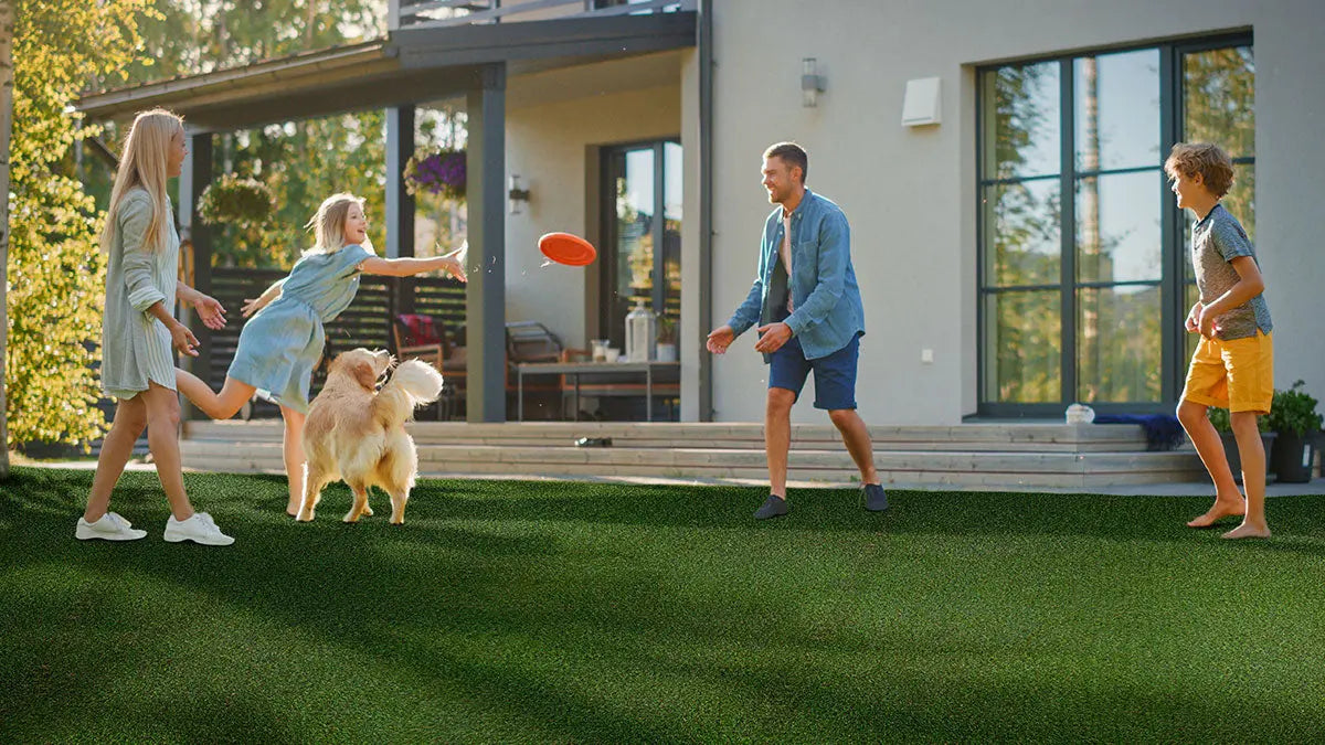 MSI Hardscaping Evergrass Meadow Pet Artificial Turf 91 30MM