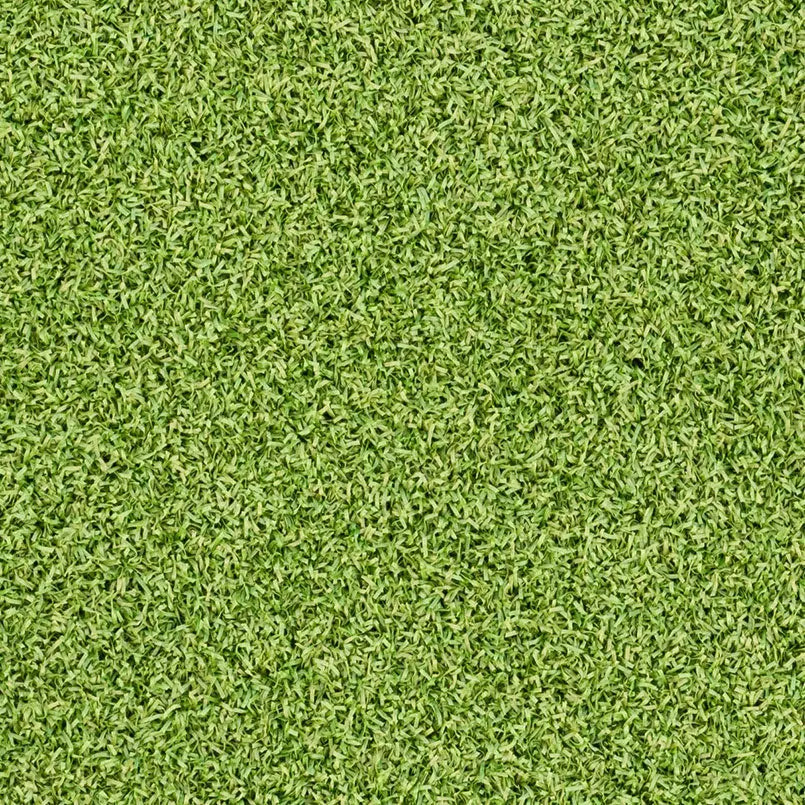 MSI Hardscaping Evergrass Putting Green Turf 78 16MM