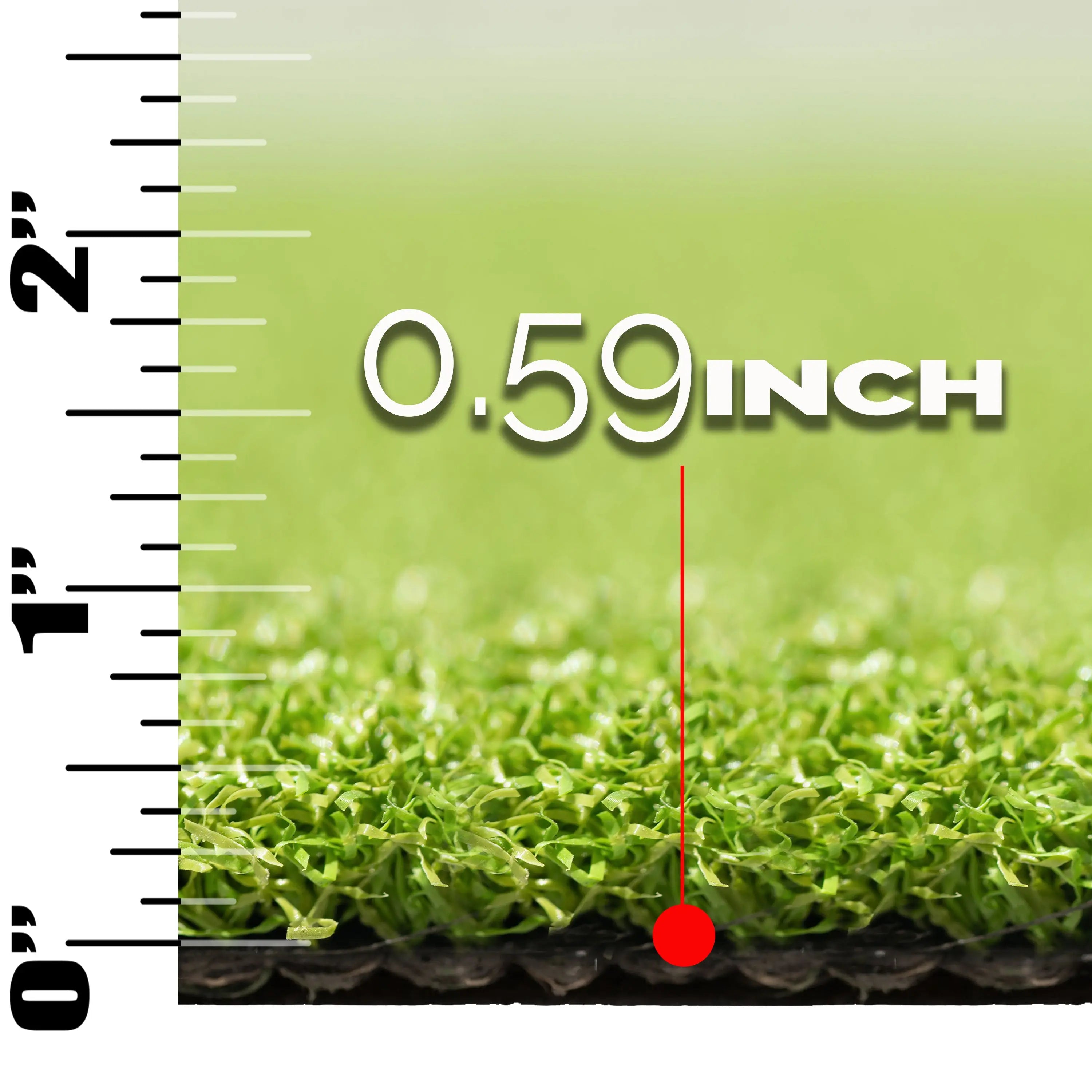 MSI Hardscaping Evergrass Putting Green Turf 78 16MM
