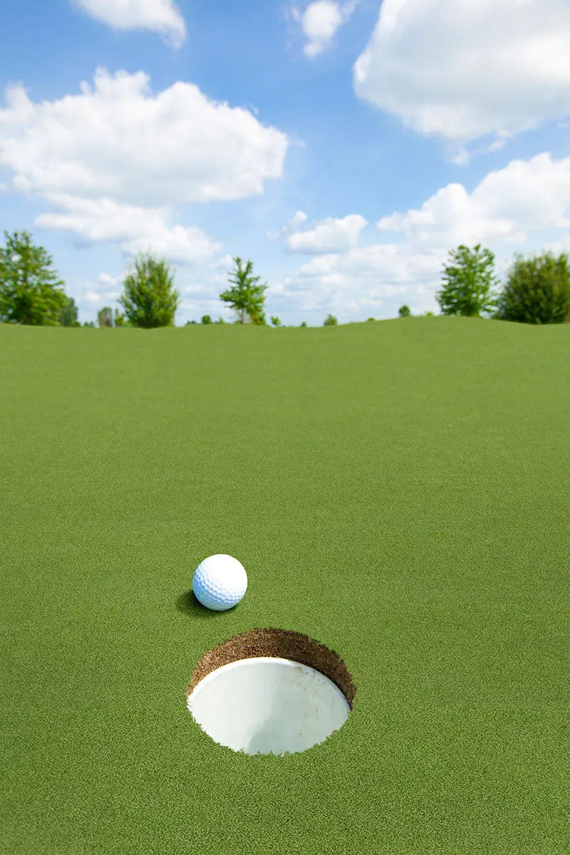 MSI Hardscaping Evergrass Putting Green Turf 78 16MM