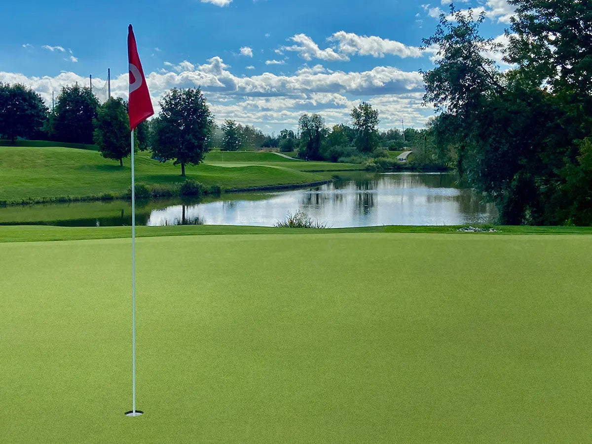 MSI Hardscaping Evergrass Putting Green Turf 78 16MM