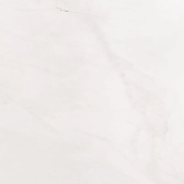 MSI Surfaces Bianco Dolomite 12X24 Honed TBIANDOL1224H - Plumbing Market