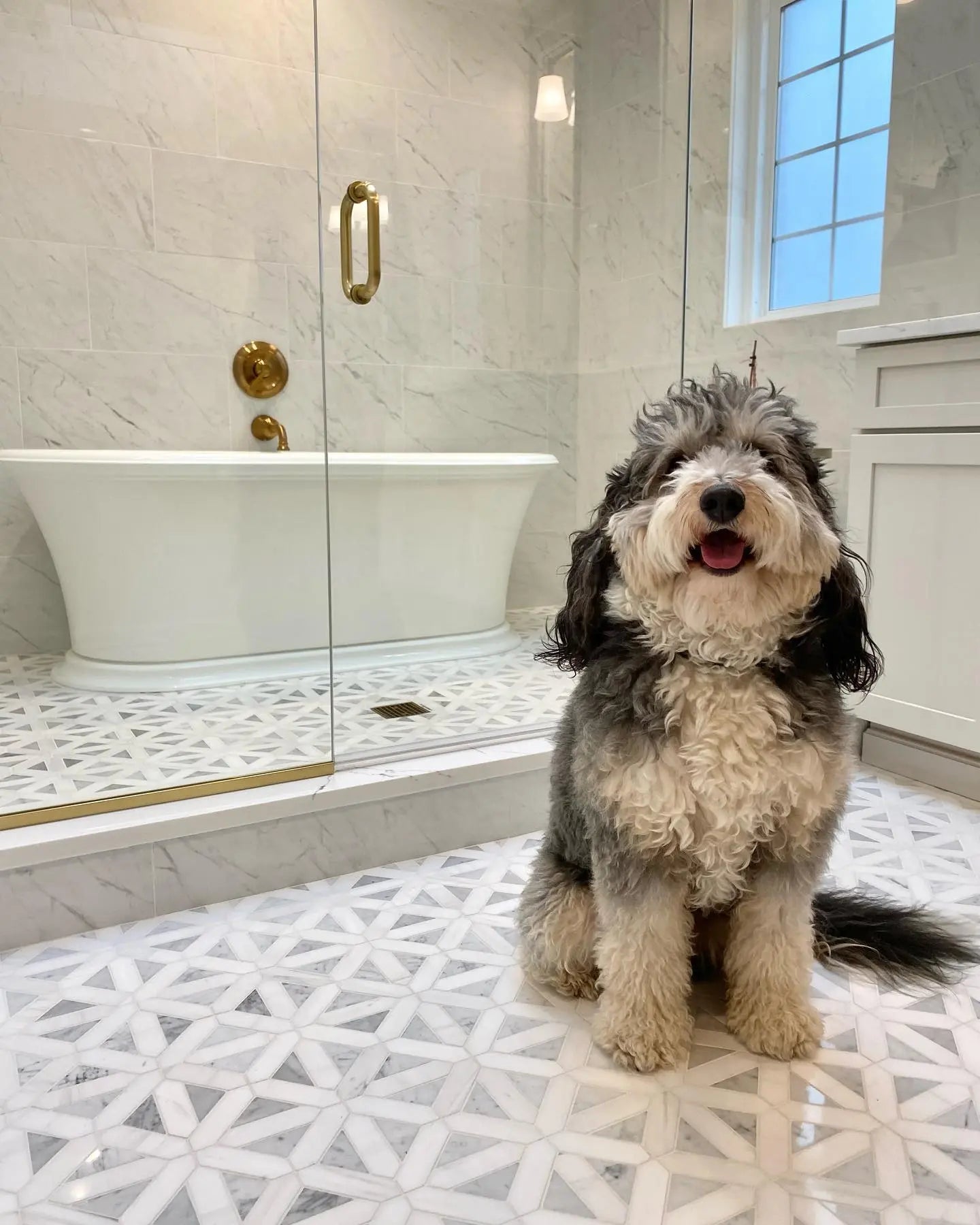 MSI Surfaces Bianco Dolomite Geometrica Marble Tile Polished