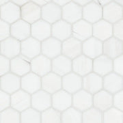 MSI Surfaces Bianco Dolomite 2” Hexagon Mosaic Marble Tile