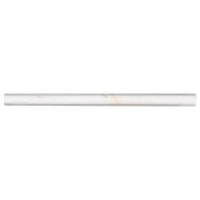 MSI Surfaces Bianco Dolomite Marble Tile Pencil Moulding