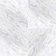 MSI Surfaces Carrara White (C) 12X12 Honed TCARRWHT1212H - Plumbing Market