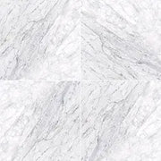 MSI Surfaces Carrara White (C) 18X18 Honed TCARRWHT181838H - Plumbing Market