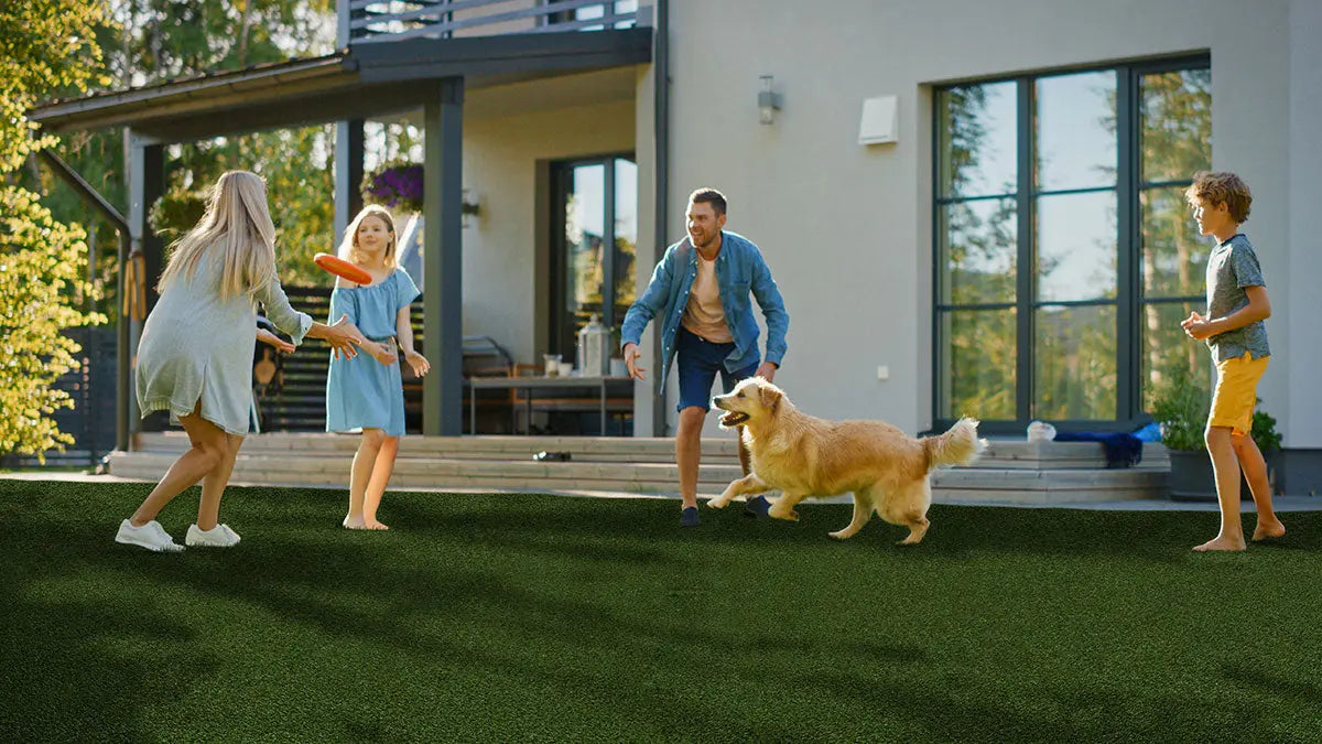 MSI Surfaces Evergrass SUMMER GOLD Artificial Turf 96 45MM