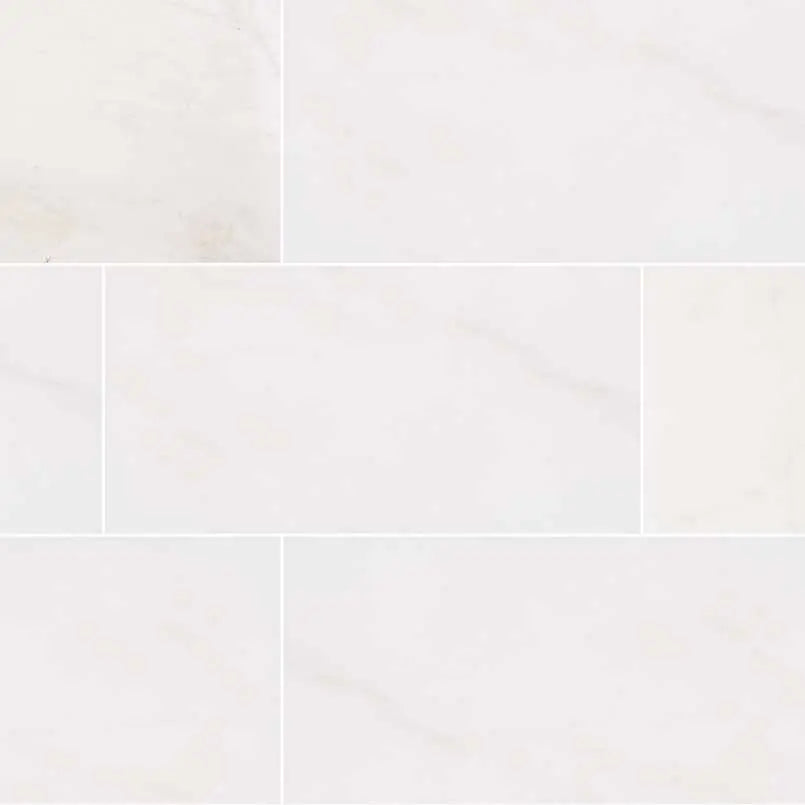 MSI Surfaces Bianco Dolomite Marble Tile 12 x 24 Polished