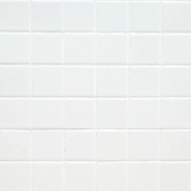 MSI Surfaces White 2X2 Matte SMOT-PT-RETBIA-2X2M - Plumbing Market
