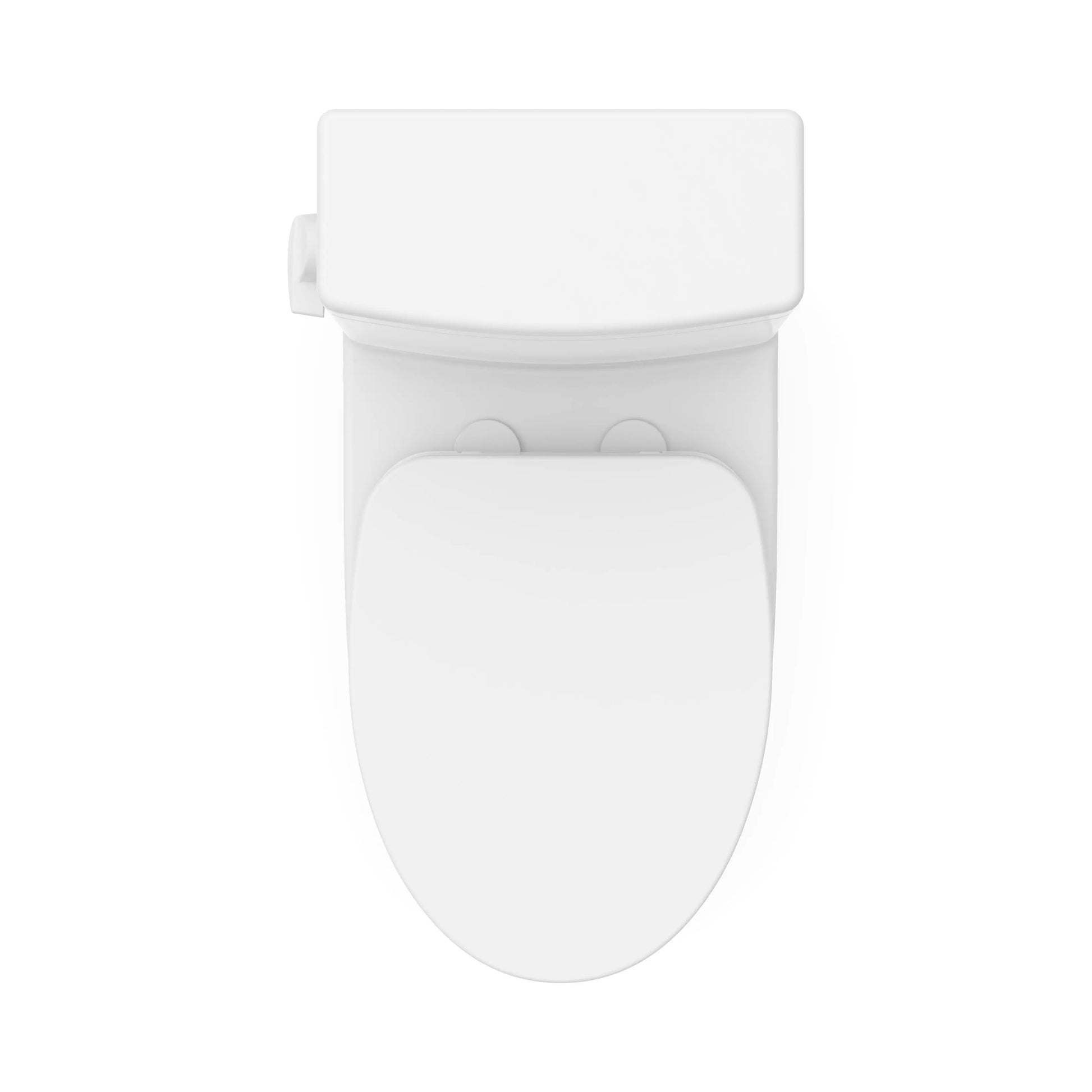 Neptune Adams 4.8L Side Flush One Piece ADA Elongated Toilet in White - Plumbing Market