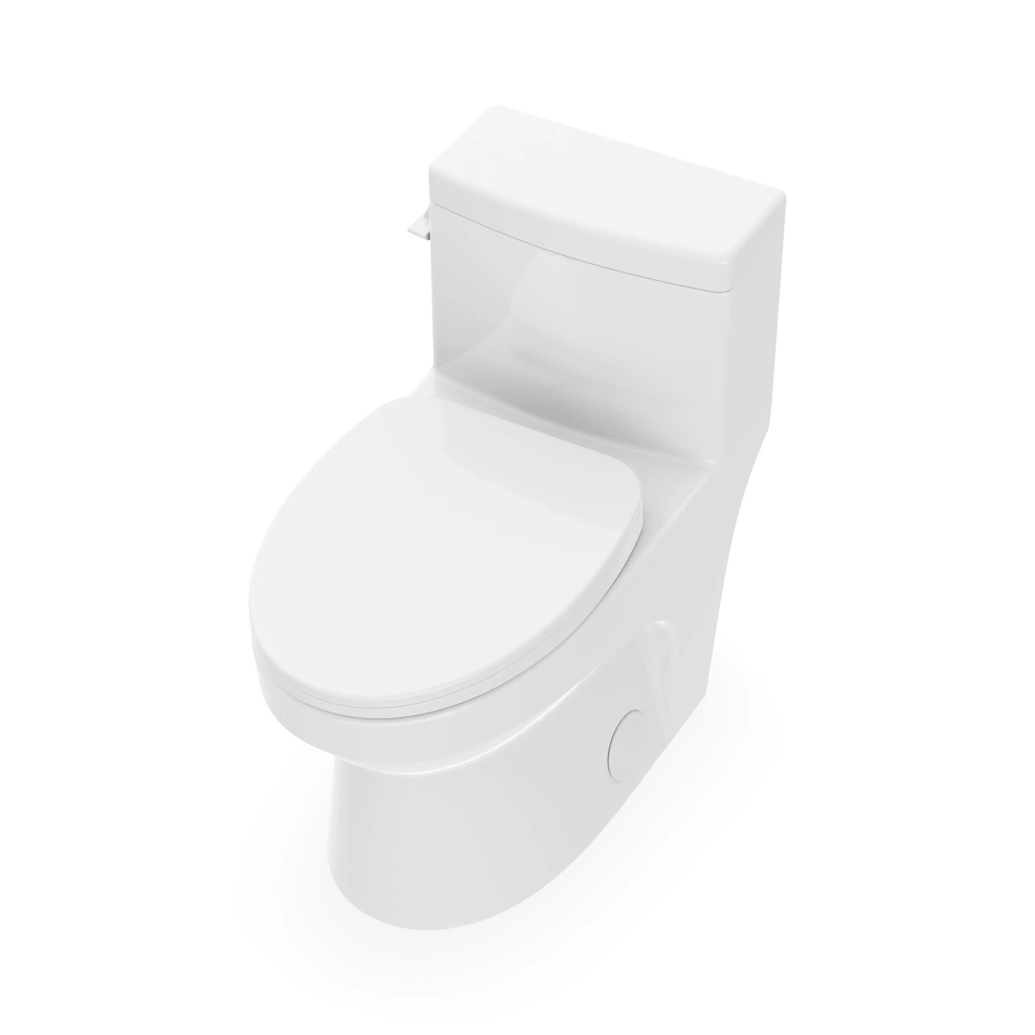 Neptune Adams 4.8L Side Flush One Piece ADA Elongated Toilet in White - Plumbing Market