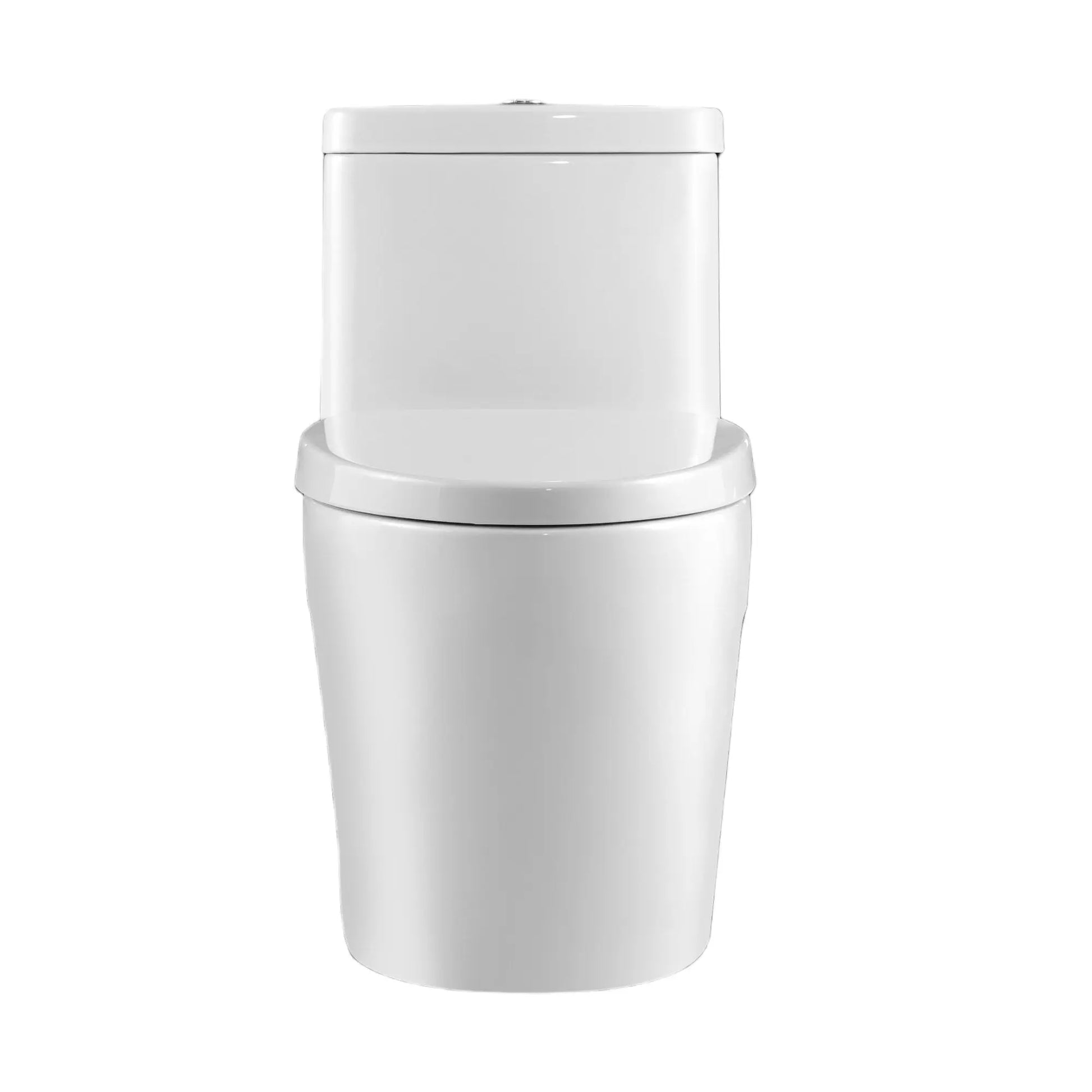 Neptune Zen One Piece Dual Flush Elongated ADA Height Toilet White - Plumbing Market