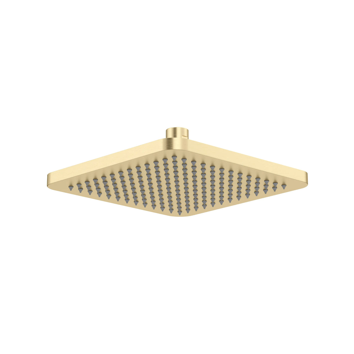Riobel 8" Rain Showerhead 478 - Satin Brass US4 (478US4-WS)