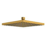 Riobel 8" Rain Showerhead 488 - Brushed Gold (488BG)