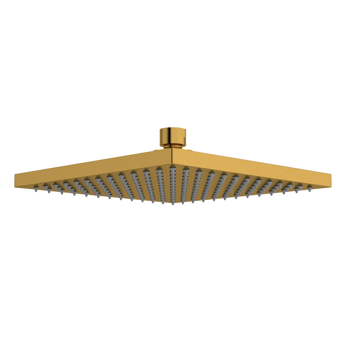 Riobel 8" Rain Showerhead 488 - Brushed Gold (488BG-WS)