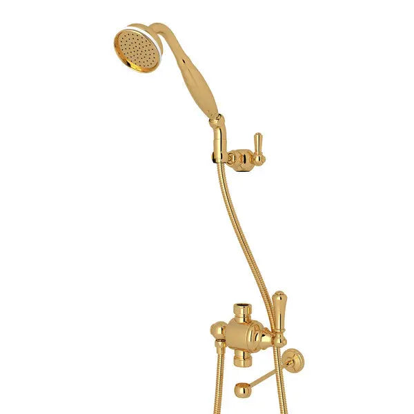 Riser Diverter With Handshower, Hose, And Parking Bracket - Plumbing Market